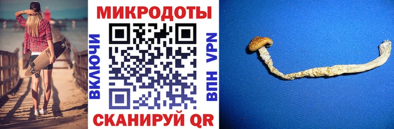 Псилоцибиновые грибы мицелий  купить наркотик  Яхрома 