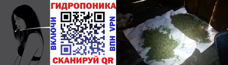 Бошки Шишки LSD WEED  как найти   Яхрома 